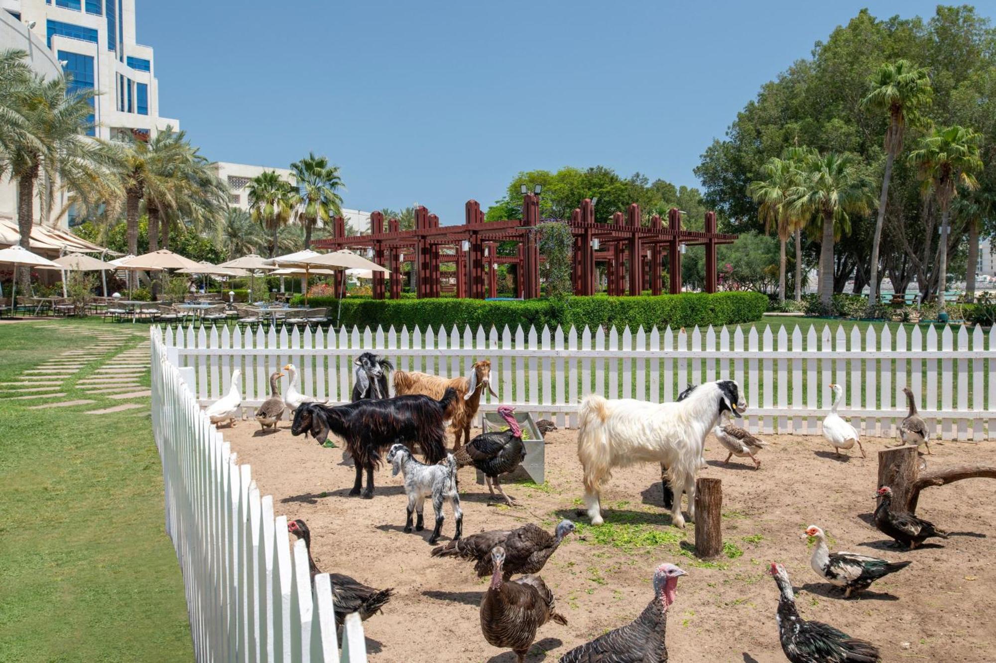 더 리츠 칼튼, 도하 외부 사진 The farm at the resort